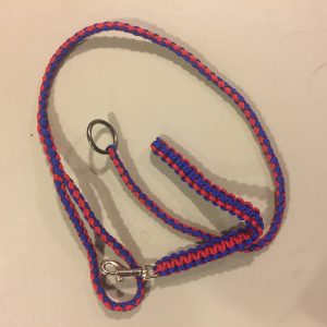 Red and Blue Slip Leash and Grab Tab