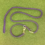 Black and Acid Purple leash and special slip collar