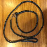 4 foot Black and Teal leash with 3/8" brass clip and slip collar