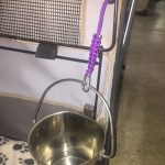 Acid Purple Bucket Holder in Crate